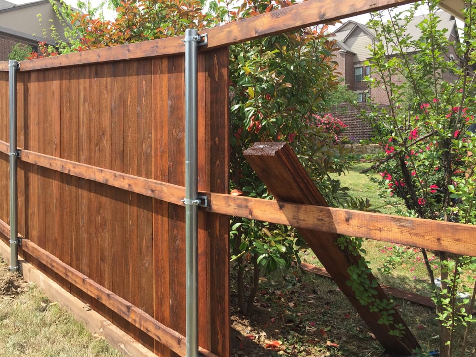 Freshly stained cedar fence in a rich warm tone